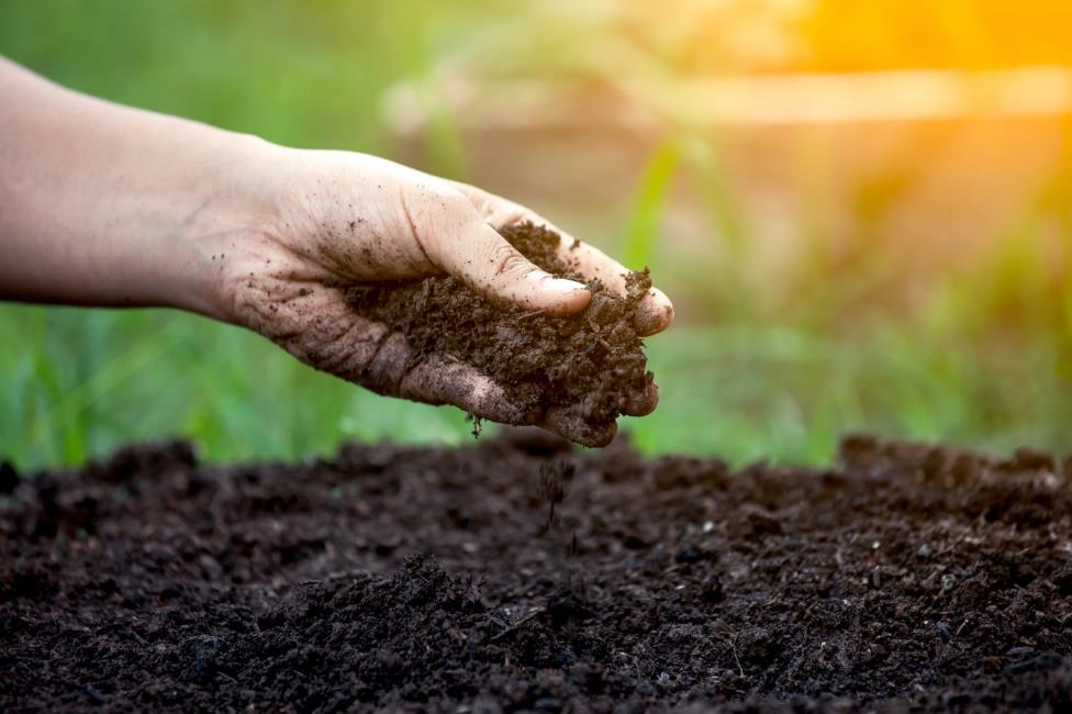 15-30-15 Plant Fertilizer - π²